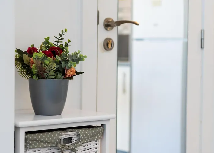 Amazing In Americas Hill Apartment